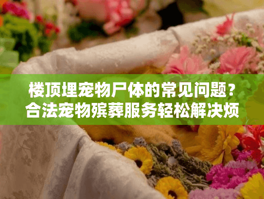 楼顶埋宠物尸体的常见问题?合法宠物殡葬服务轻松解决烦恼! 楼顶埋宠物尸体的常见问题?合法宠物殡葬服务轻松解决烦恼!