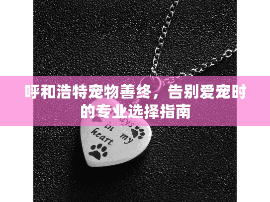 呼和浩特宠物善终，告别爱宠时的专业选择指南