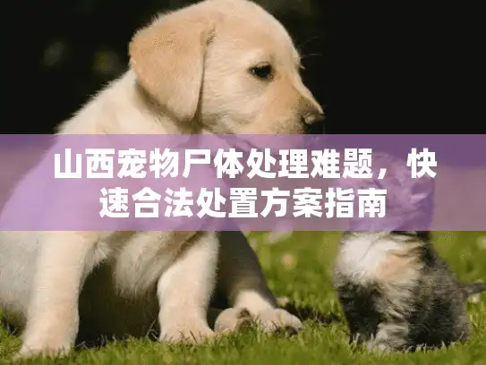山西宠物尸体处理难题，快速合法处置方案指南