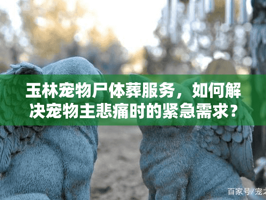 玉林宠物尸体葬服务，如何解决宠物主悲痛时的紧急需求？
