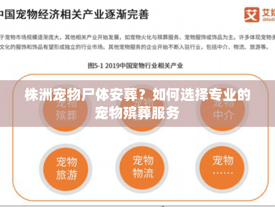 株洲宠物尸体安葬？如何选择专业的宠物殡葬服务