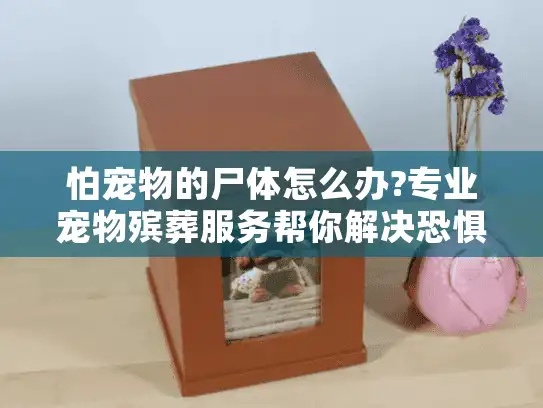 怕宠物的尸体怎么办?专业宠物殡葬服务帮你解决恐惧安心告别