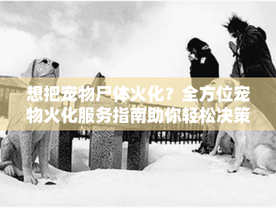 想把宠物尸体火化?全方位宠物火化服务指南助你轻松决策 想把宠物尸体火化?全方位宠物火化服务指南助你轻松决策