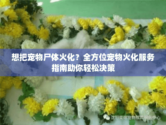 想把宠物尸体火化?全方位宠物火化服务指南助你轻松决策 想把宠物尸体火化?全方位宠物火化服务指南助你轻松决策