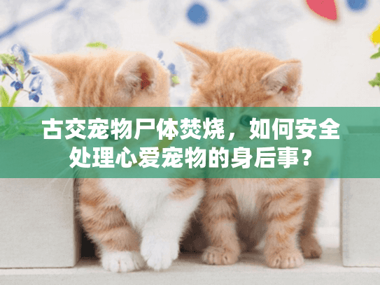 古交宠物尸体焚烧,如何安全处理心爱宠物的身后事? 古交宠物尸体焚烧,如何安全处理心爱宠物的身后事?