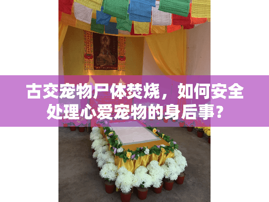 古交宠物尸体焚烧,如何安全处理心爱宠物的身后事? 古交宠物尸体焚烧,如何安全处理心爱宠物的身后事?