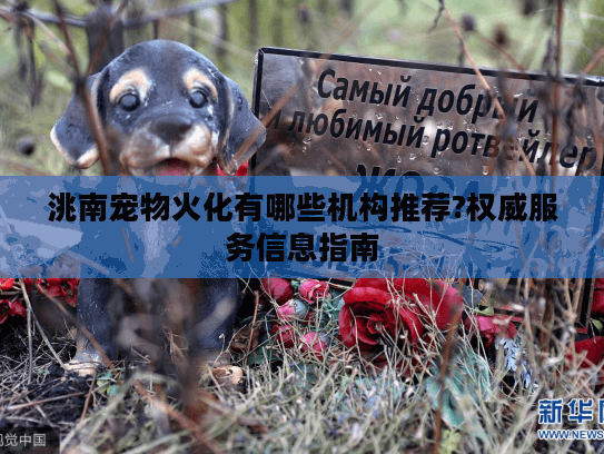 洮南宠物火化有哪些机构推荐?权威服务信息指南