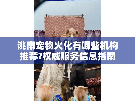 洮南宠物火化有哪些机构推荐?权威服务信息指南