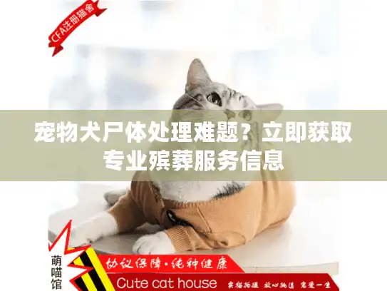 宠物犬尸体处理难题？立即获取专业殡葬服务信息