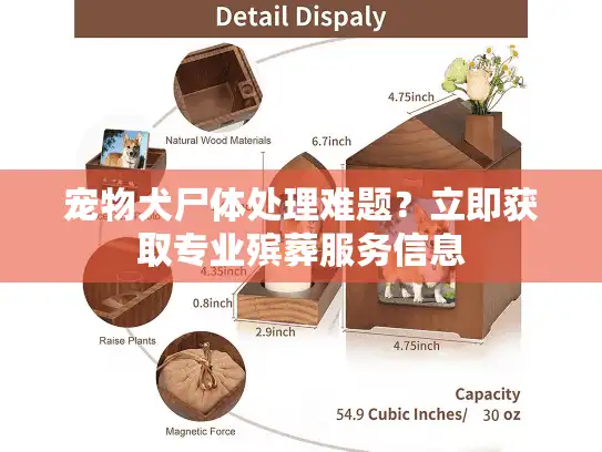 宠物犬尸体处理难题？立即获取专业殡葬服务信息