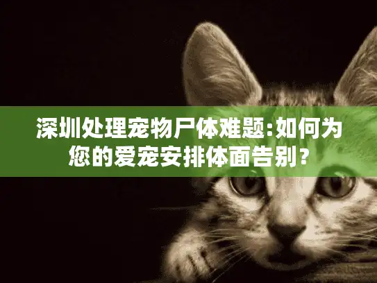 深圳处理宠物尸体难题:如何为您的爱宠安排体面告别? 深圳处理宠物尸体难题:如何为您的爱宠安排体面告别?