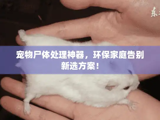 宠物尸体处理神器，环保家庭告别新选方案！