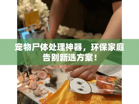 宠物尸体处理神器，环保家庭告别新选方案！