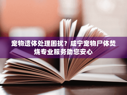 宠物遗体处理困扰？咸宁宠物尸体焚烧专业服务助您安心