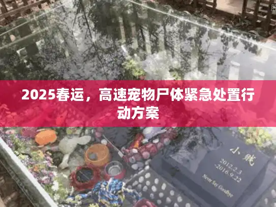 2025春运，高速宠物尸体紧急处置行动方案