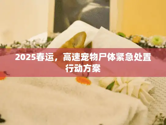 2025春运，高速宠物尸体紧急处置行动方案