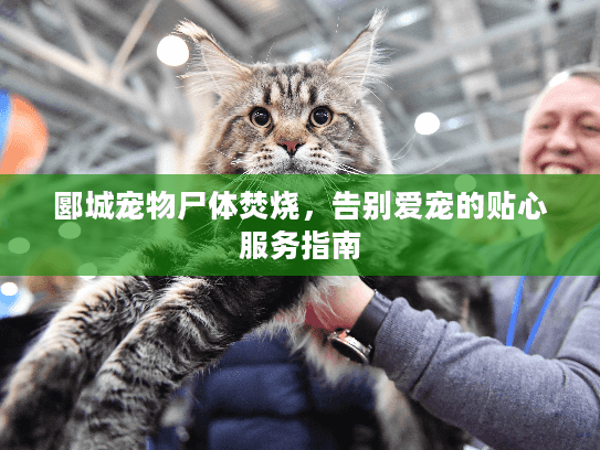 郾城宠物尸体焚烧，告别爱宠的贴心服务指南