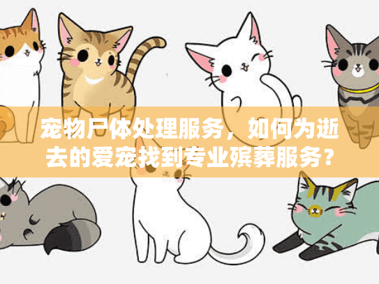 宠物尸体处理服务，如何为逝去的爱宠找到专业殡葬服务？