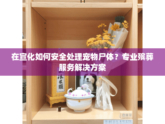 在宣化如何安全处理宠物尸体？专业殡葬服务解决方案