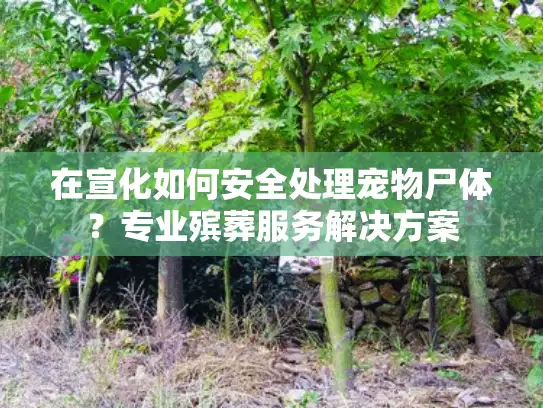 在宣化如何安全处理宠物尸体？专业殡葬服务解决方案