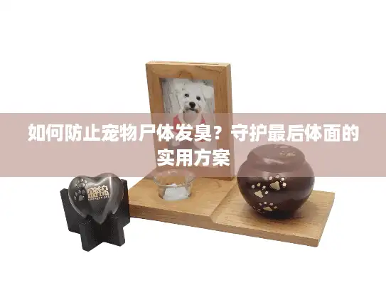 如何防止宠物尸体发臭？守护最后体面的实用方案