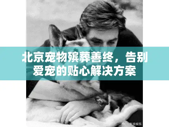 北京宠物殡葬善终,告别爱宠的贴心解决方案 北京宠物殡葬善终,告别爱宠的贴心解决方案