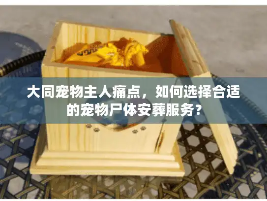 大同宠物主人痛点，如何选择合适的宠物尸体安葬服务？