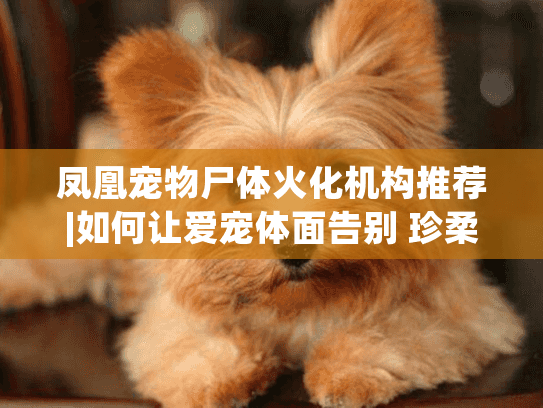 凤凰宠物尸体火化机构推荐|如何让爱宠体面告别 珍柔安宠网指南 凤凰宠物尸体火化机构推荐|如何让爱宠体面告别 珍柔安宠网指南