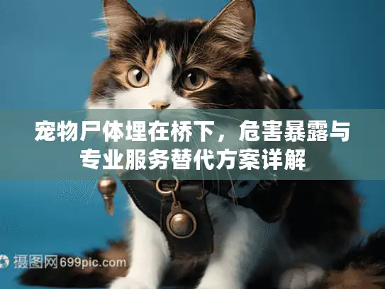 宠物尸体埋在桥下，危害暴露与专业服务替代方案详解