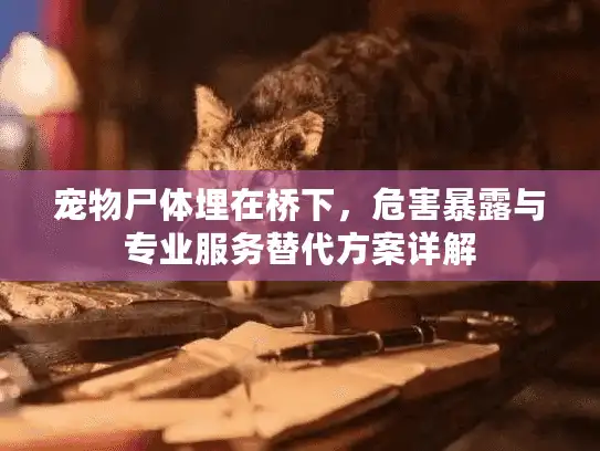 宠物尸体埋在桥下，危害暴露与专业服务替代方案详解