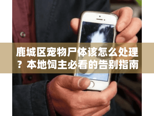 鹿城区宠物尸体该怎么处理？本地饲主必看的告别指南