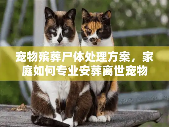 宠物殡葬尸体处理方案,家庭如何专业安葬离世宠物? 宠物殡葬尸体处理方案,家庭如何专业安葬离世宠物?