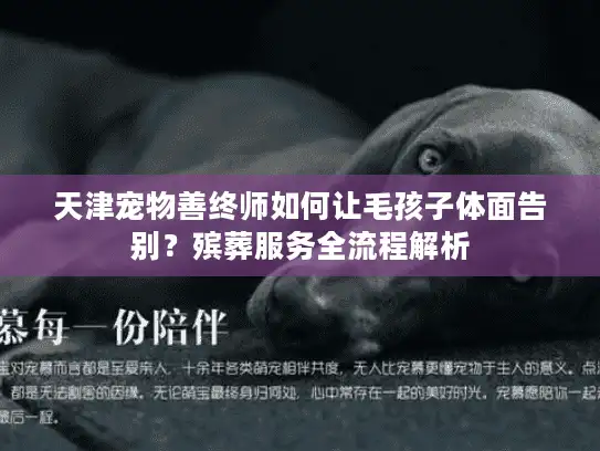天津宠物善终师如何让毛孩子体面告别？殡葬服务全流程解析