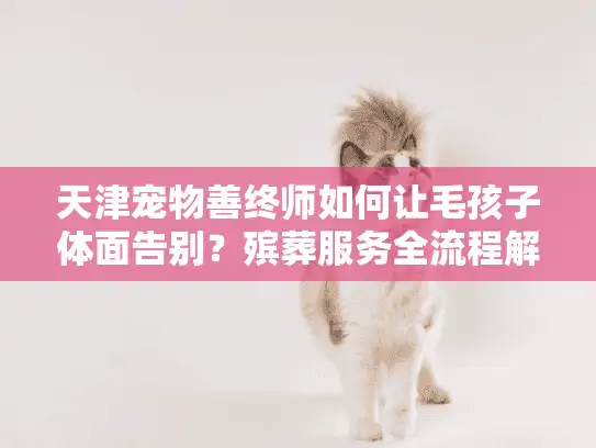 天津宠物善终师如何让毛孩子体面告别？殡葬服务全流程解析