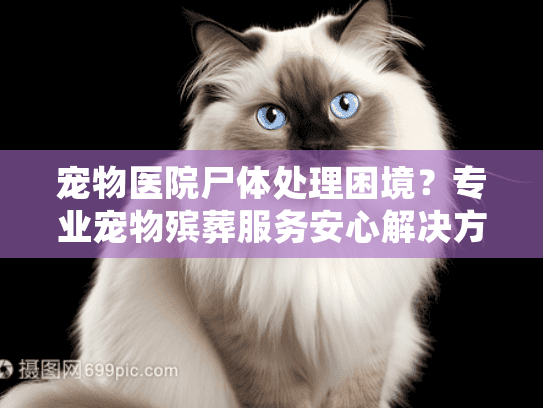 宠物医院尸体处理困境？专业宠物殡葬服务安心解决方案