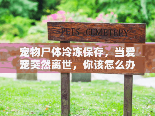 宠物尸体冷冻保存,当爱宠突然离世,你该怎么办? 宠物尸体冷冻保存,当爱宠突然离世,你该怎么办?