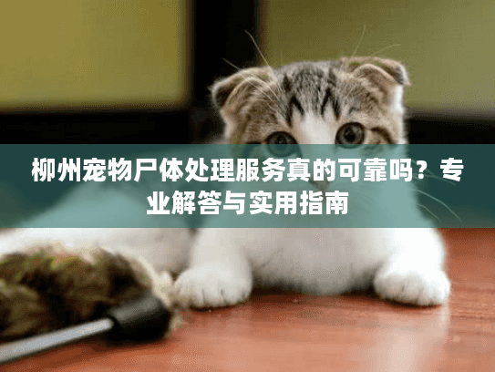 柳州宠物尸体处理服务真的可靠吗?专业解答与实用指南 柳州宠物尸体处理服务真的可靠吗?专业解答与实用指南