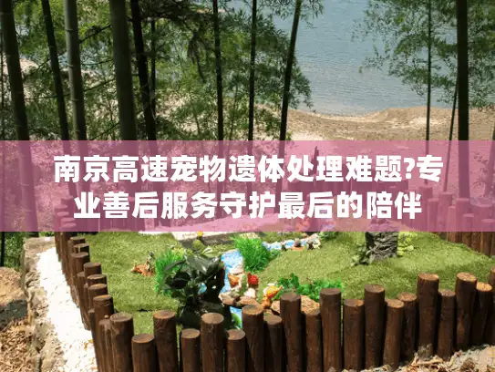 南京高速宠物遗体处理难题?专业善后服务守护最后的陪伴