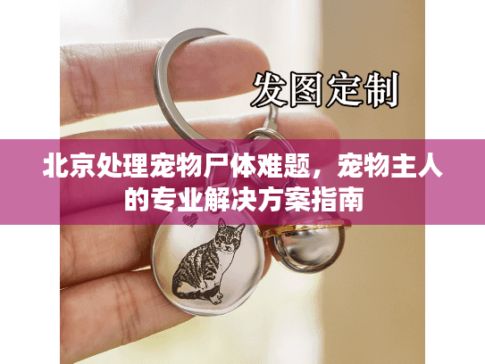 北京处理宠物尸体难题，宠物主人的专业解决方案指南