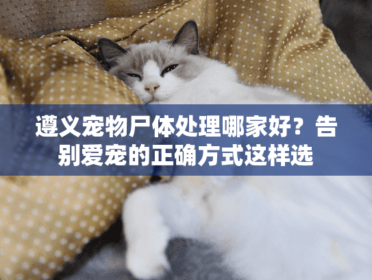 遵义宠物尸体处理哪家好？告别爱宠的正确方式这样选