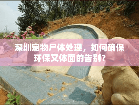 深圳宠物尸体处理，如何确保环保又体面的告别？
