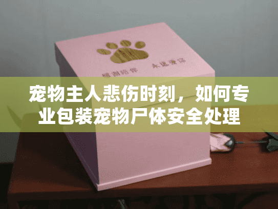 宠物主人悲伤时刻，如何专业包装宠物尸体安全处理