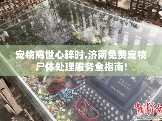 宠物离世心碎时,济南免费宠物尸体处理服务全指南! 宠物离世心碎时,济南免费宠物尸体处理服务全指南!