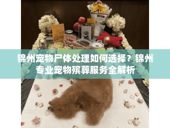 锦州宠物尸体处理如何选择？锦州专业宠物殡葬服务全解析