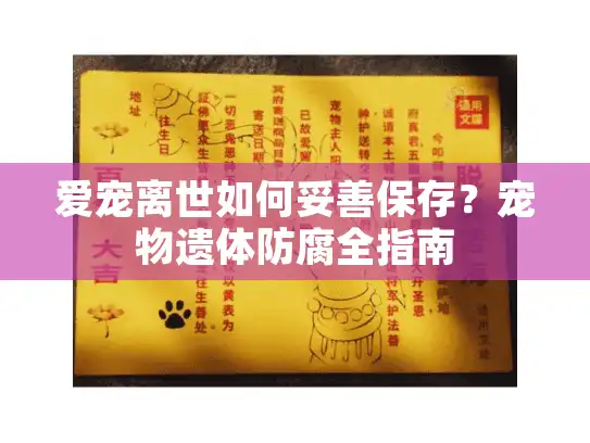 爱宠离世如何妥善保存?宠物遗体防腐全指南 爱宠离世如何妥善保存?宠物遗体防腐全指南