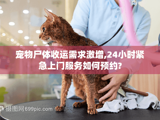 宠物尸体收运需求激增,24小时紧急上门服务如何预约?