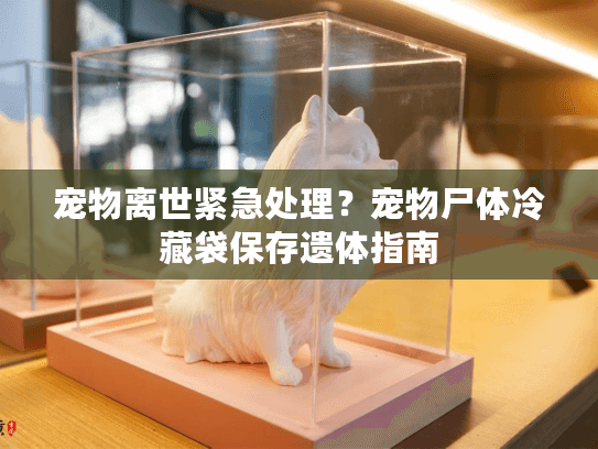 宠物离世紧急处理？宠物尸体冷藏袋保存遗体指南