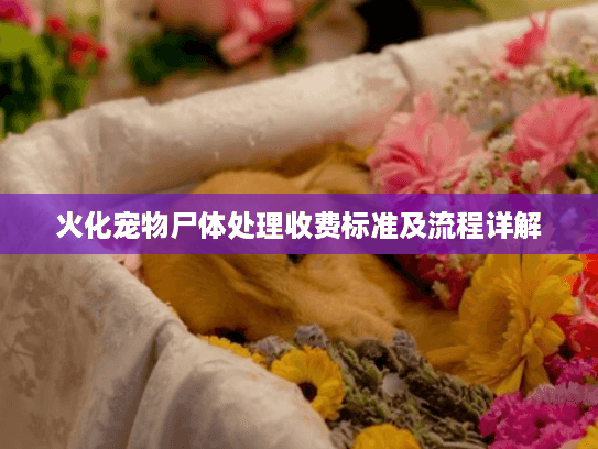 火化宠物尸体处理收费标准及流程详解