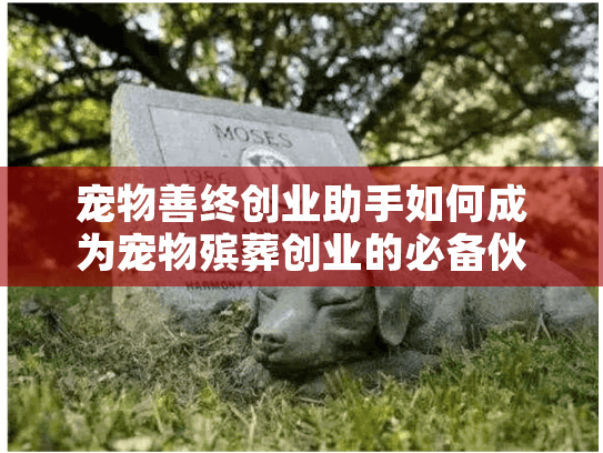 宠物善终创业助手如何成为宠物殡葬创业的必备伙伴? 宠物善终创业助手如何成为宠物殡葬创业的必备伙伴?