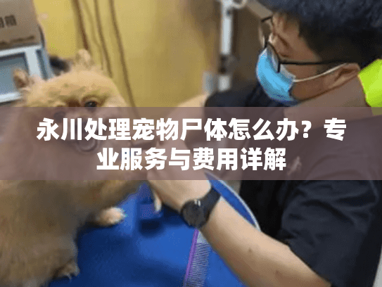 永川处理宠物尸体怎么办？专业服务与费用详解